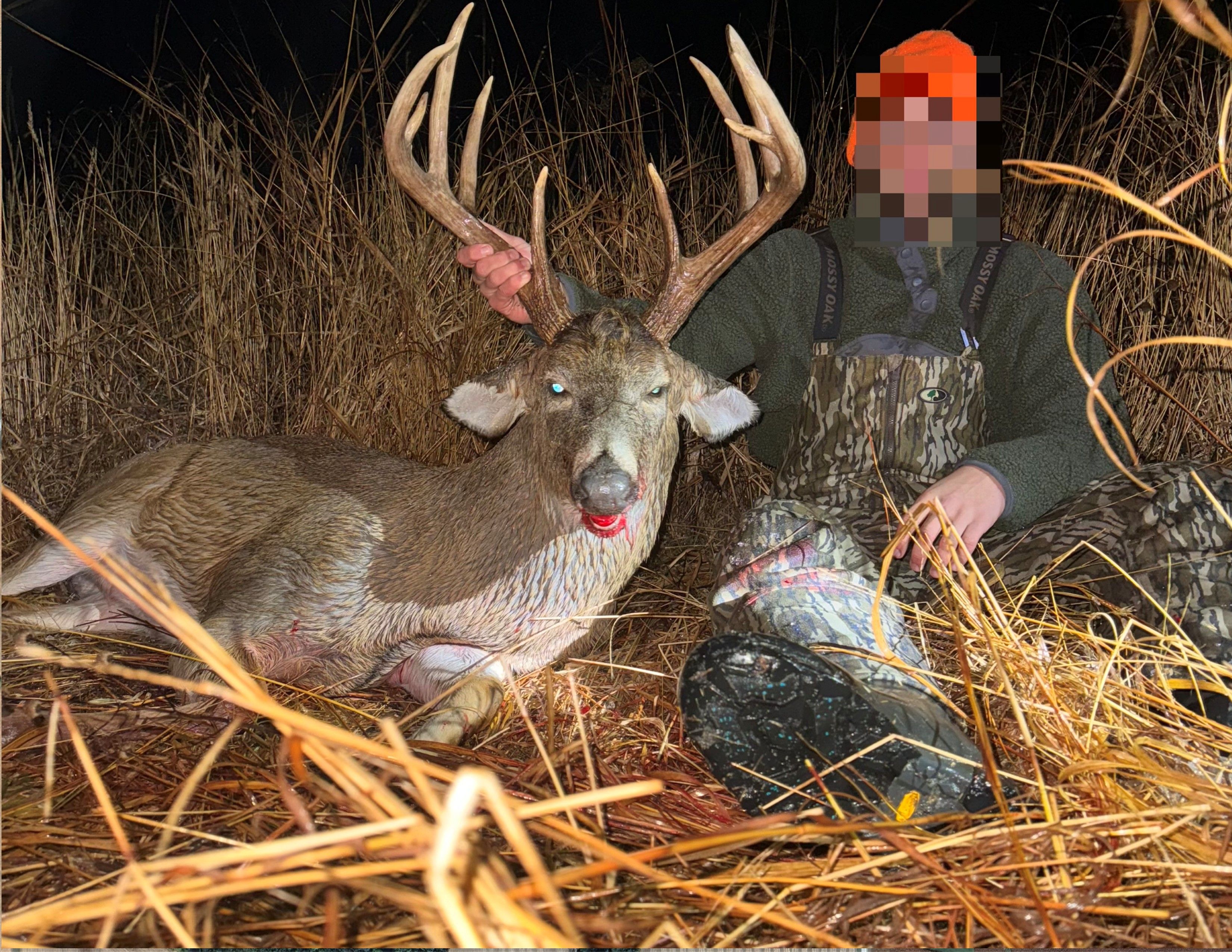 Listing Photo: Deer Msucatine11
